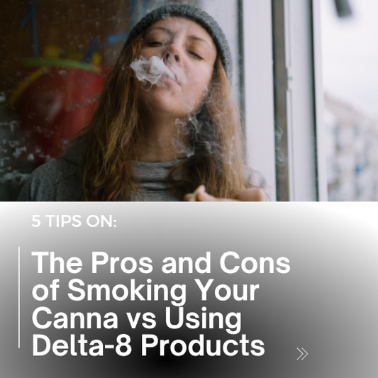 5 TIPS ON: The Pros and Cons of Smoking Your Canna vs Using Delta-8 Products